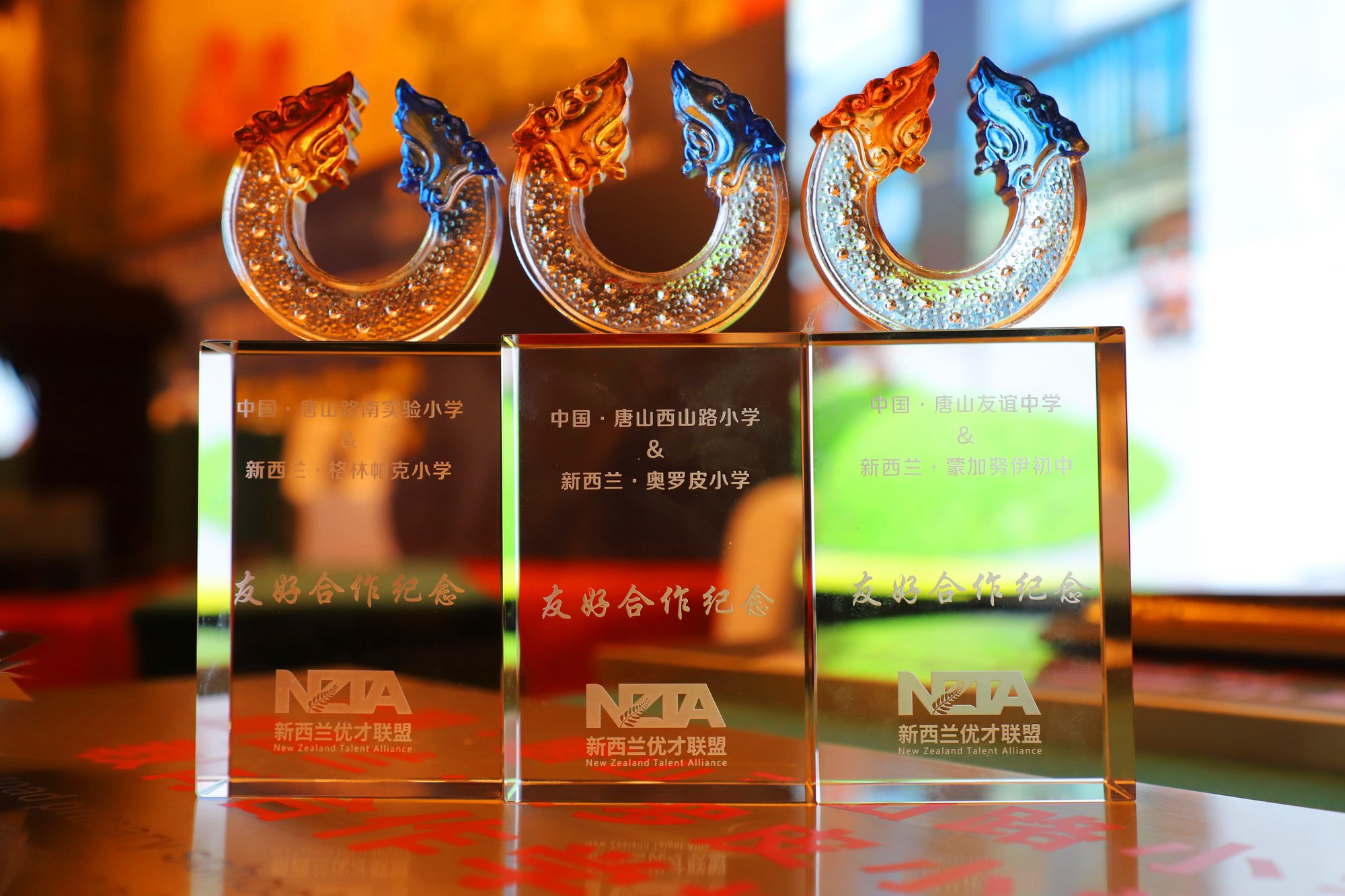 友好学校纪念奖杯