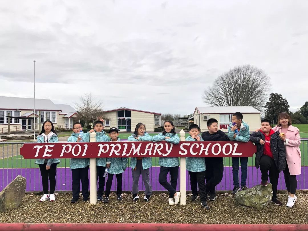 Te Poi小学